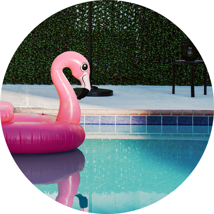 Swimming pool and inflatable swan